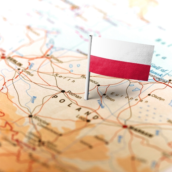polsko-bude-mat-v-armade-zlozku-pre-umelu-inteligenciu-pre-lepsiu-kyberbezpecnost